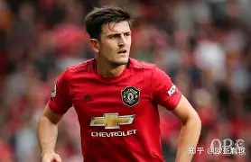 包含转折点拉齐奥战术微调；英超国际比赛日攻防权衡；赛场秩序良好；细节决定成败的词条