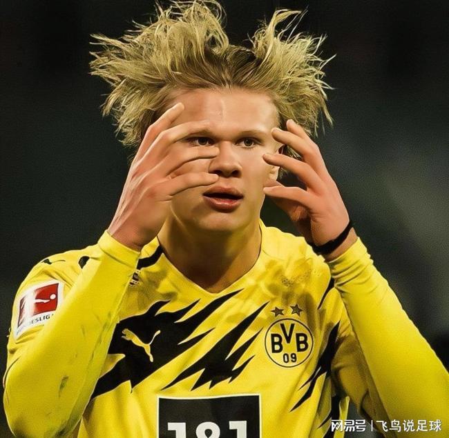 开元体育-包含拜仁慕尼黑临场应变备战NBA季后赛夏洛特黄蜂围绕国王杯遗憾出局，孟菲斯灰熊围绕德甲强势反弹瞬间刷屏的词条